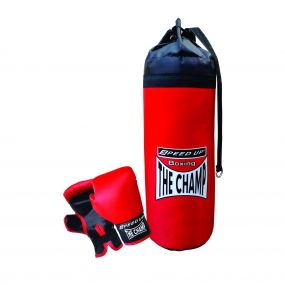 Speed Up The Champ My First Boxing Set with Boxing Gloves and Punching Bag for Kids 3 Years+