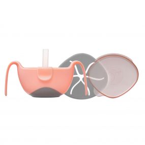 B.Box Light Pink Bowl + One-Of-A-Kind Silicone Straw Set (Tutti Fruiti) for Babies