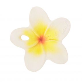 Oli & Carol Hawaii The Flower Chewy Teether | Multicolour
