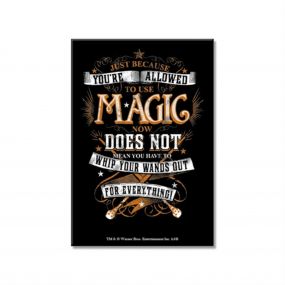 Harry Potter - Magic Now Rectangular Fridge Magnet