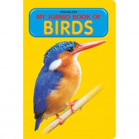 My Jumbo Book - BIRDS : Children Early Learning Book By Dreamland Publications-Age 2 to 5 Years