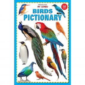 My Jumbo Birds Pictionary : Children Picture Book Book By Dreamland Publications-Age 2 to 5 years