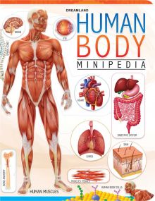 Human Body Minipedia : Children Reference Book By Dreamland Publications-Age 8 to 12 Years
