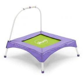 Plum Junior Bouncer With Handle - Purple And Green