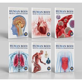 Wonder House Books Human Body Box Set | Knowledge Encyclopaedia for Children