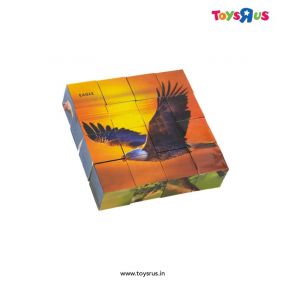 Ratnas Educational Bird Cube Puzzle to Play and Learn Motor Skills