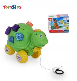 Bruin Pull Along Turtle Car | Toys for Kids (Multicolour)